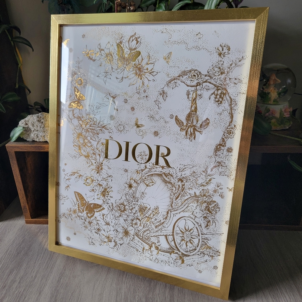 Limited Edition Dior Shopping Bag - Framed